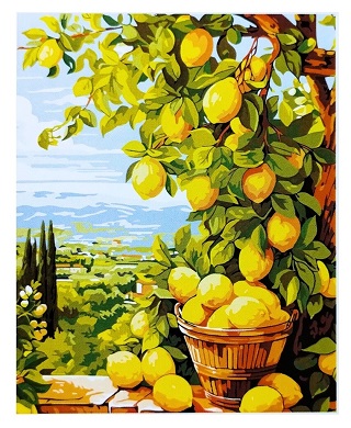 Arte Por Nmero Limonero